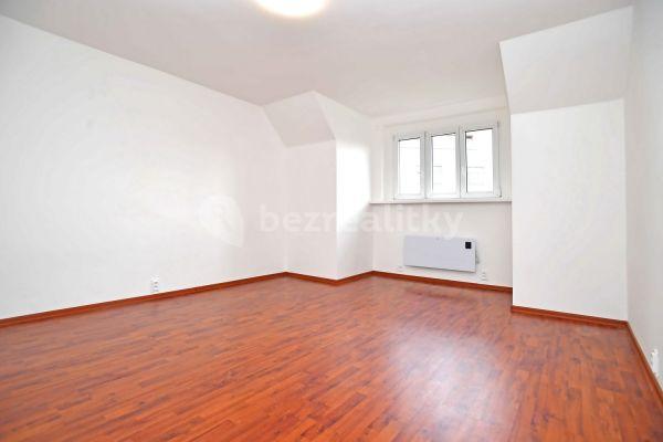 1 bedroom with open-plan kitchen flat to rent, 57 m², Na Pecích, Hlavní město Praha