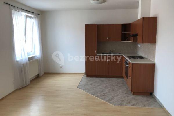 1 bedroom with open-plan kitchen flat to rent, 50 m², Karlova, Plzeň, Plzeňský Region