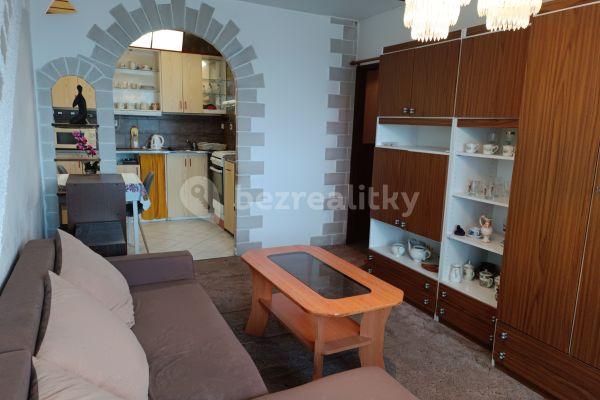 1 bedroom with open-plan kitchen flat to rent, 42 m², Sportovní, Mělník