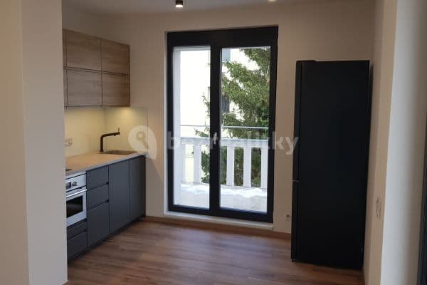 1 bedroom with open-plan kitchen flat to rent, 40 m², Nad Ondřejovem, Praha