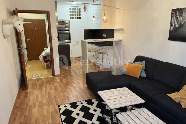 1 bedroom with open-plan kitchen flat to rent, 50 m², Babická, Hlavní město Praha