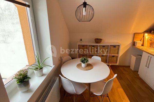 1 bedroom with open-plan kitchen flat to rent, 42 m², Fr. Řepky, Svitávka