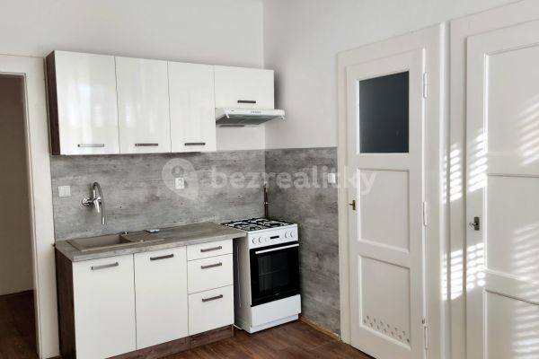 1 bedroom with open-plan kitchen flat to rent, 45 m², Moskevská, Praha