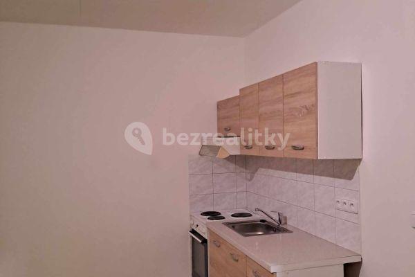 1 bedroom with open-plan kitchen flat to rent, 48 m², Švermova, Brno