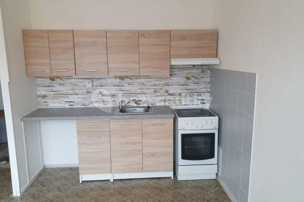 1 bedroom with open-plan kitchen flat to rent, 43 m², Brandtova, Ústí nad Labem, Ústecký Region