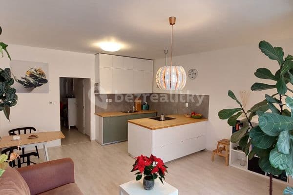 1 bedroom with open-plan kitchen flat to rent, 60 m², Přadlácká, Brno