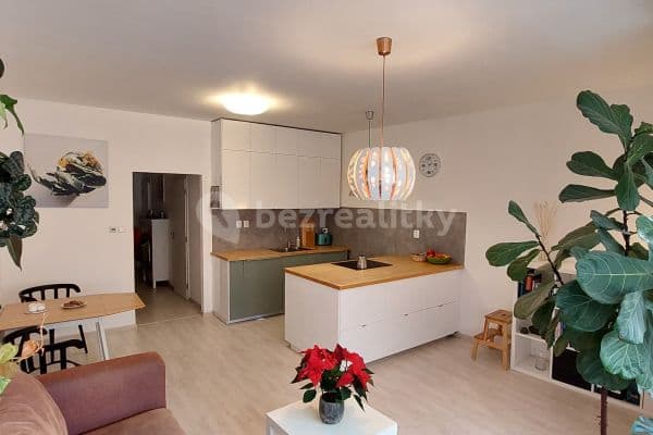 1 bedroom with open-plan kitchen flat to rent, 60 m², Přadlácká, Brno 1 bedroom with open-plan kitchen flat to rent, 60 m², Přadlácká, Brno