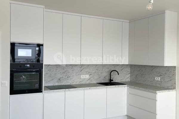 1 bedroom with open-plan kitchen flat to rent, 52 m², Sedlářova, Praha 1 bedroom with open-plan kitchen flat to rent, 52 m², Sedlářova, Praha