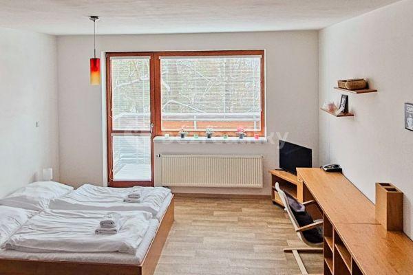 Studio flat to rent, 40 m², Čeladná, Moravskoslezský Region