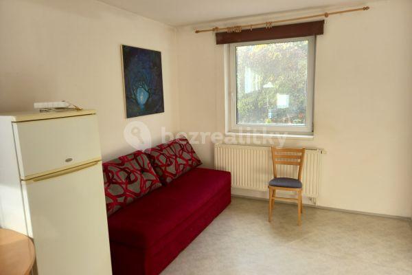 1 bedroom with open-plan kitchen flat to rent, 25 m², Pančava, Zlín