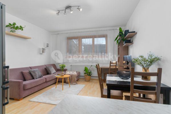 1 bedroom with open-plan kitchen flat to rent, 53 m², Karlovarská, Praha