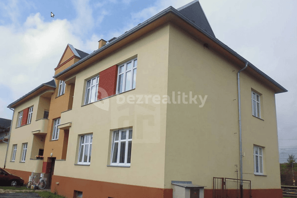 1 bedroom with open-plan kitchen flat to rent, 50 m², Třebovice