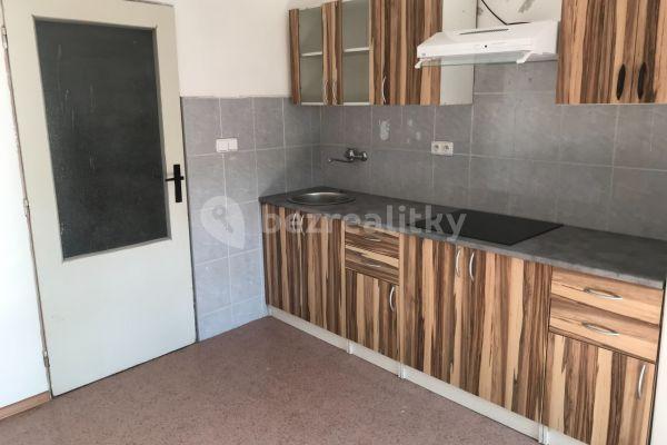 1 bedroom with open-plan kitchen flat to rent, 37 m², Žichovice