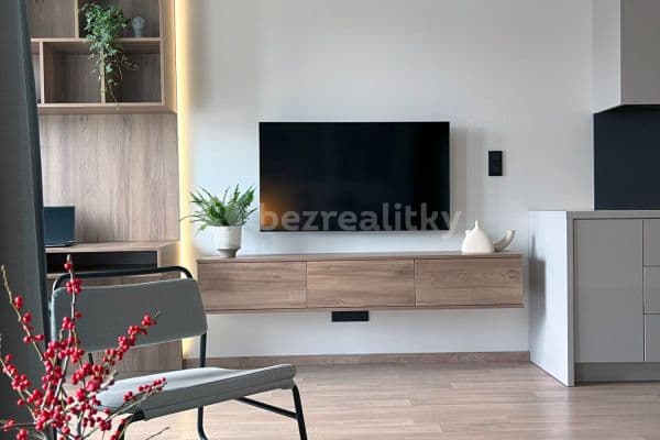 1 bedroom with open-plan kitchen flat to rent, 38 m², Olgy Havlové, Praha 1 bedroom with open-plan kitchen flat to rent, 38 m², Olgy Havlové, Praha