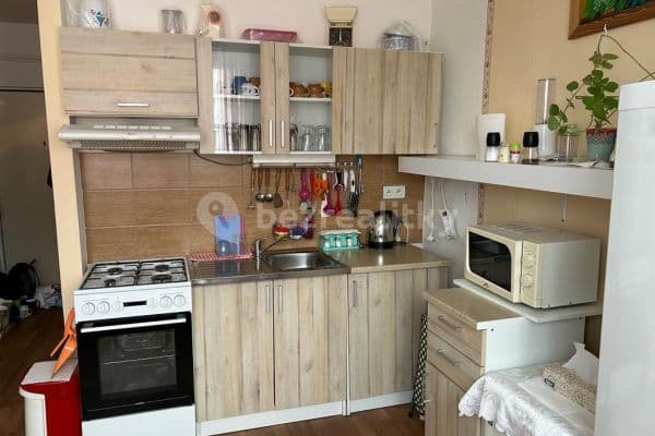 1 bedroom with open-plan kitchen flat to rent, 55 m², Vítězná, Karlovy Vary, Karlovarský Region