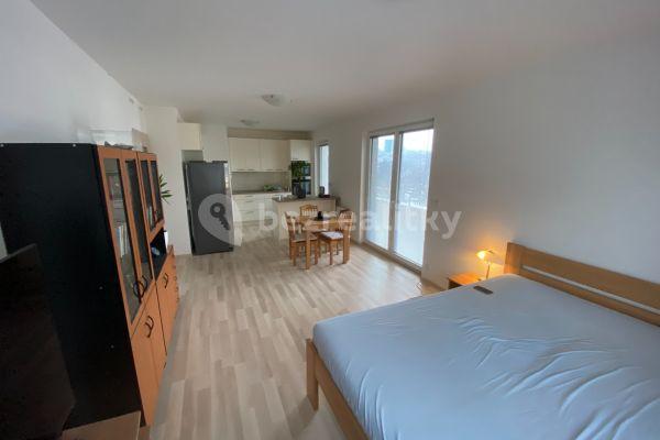 2 bedroom with open-plan kitchen flat to rent, 87 m², Krnkova, Praha