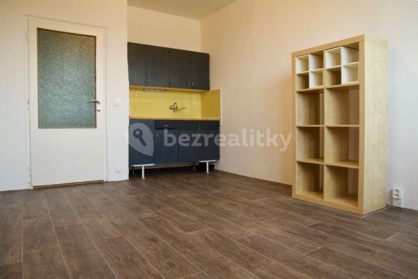 Studio flat to rent, 24 m², Halasovo náměstí, Brno