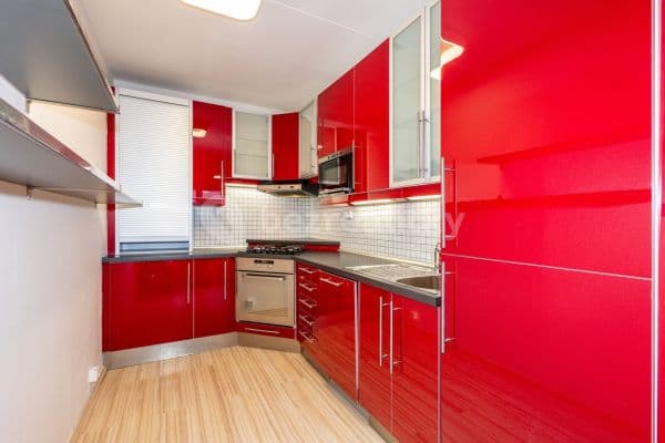 2 bedroom with open-plan kitchen flat to rent, 63 m², Rezlerova, Hlavní město Praha
