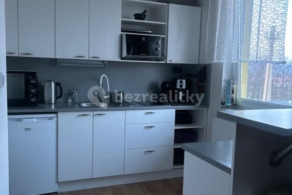1 bedroom with open-plan kitchen flat to rent, 42 m², Sochorova, Doksy