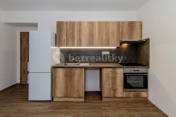 1 bedroom with open-plan kitchen flat to rent, 51 m², U Plynárny, Praha