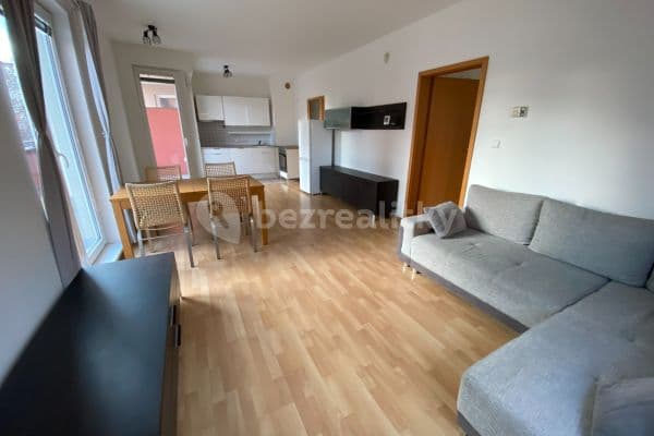 1 bedroom with open-plan kitchen flat to rent, 54 m², Velenovského, Praha