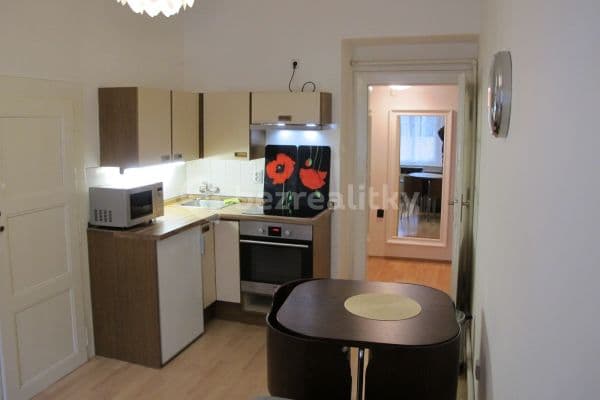 1 bedroom with open-plan kitchen flat to rent, 42 m², Horní, Praha