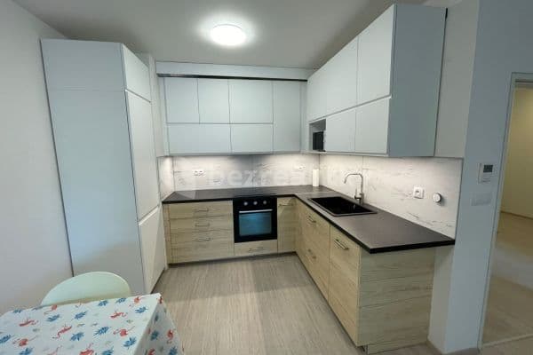 1 bedroom with open-plan kitchen flat to rent, 58 m², Reissigova, Brno