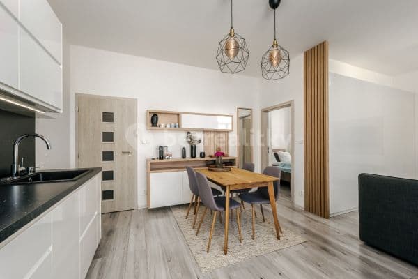 1 bedroom with open-plan kitchen flat to rent, 40 m², Slepá, Milovice
