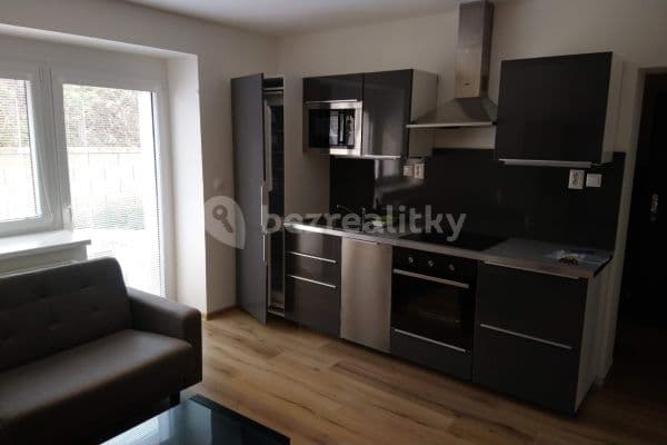 1 bedroom with open-plan kitchen flat to rent, 38 m², Na Okrouhlíku, Praha