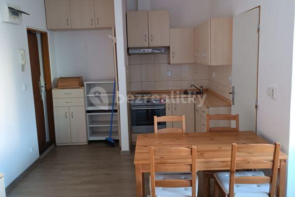 Studio flat to rent, 30 m², Bukovany