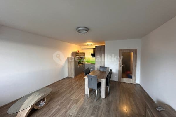 1 bedroom with open-plan kitchen flat to rent, 61 m², Škrábkových, Praha