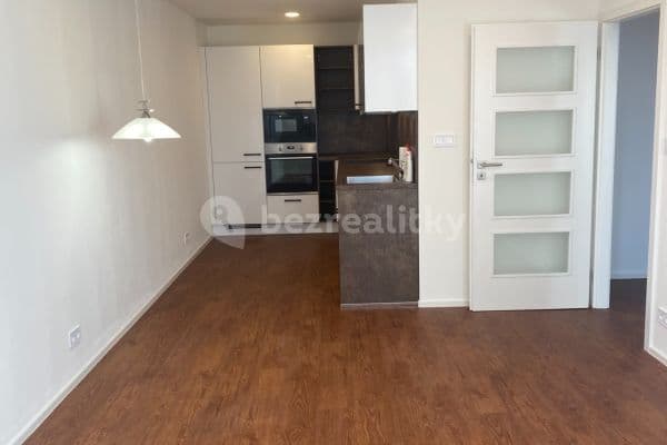 2 bedroom with open-plan kitchen flat to rent, 67 m², Hausmannova, Praha