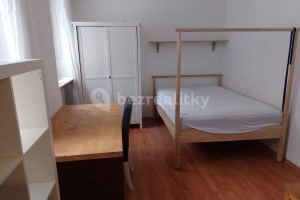 1 bedroom flat to rent, 30 m², Palackého třída, Brno