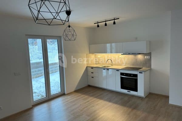 1 bedroom with open-plan kitchen flat to rent, 47 m², K Újezdu, Zbůch