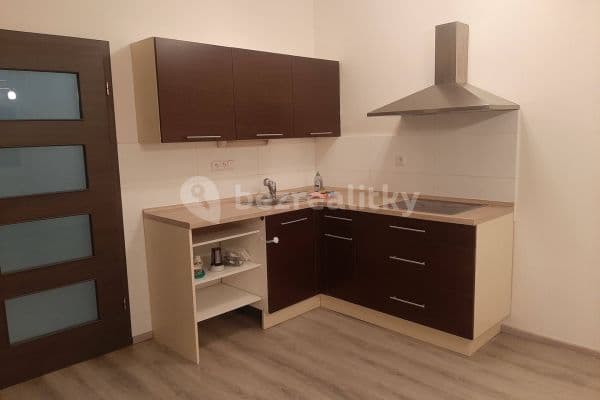 1 bedroom with open-plan kitchen flat to rent, 53 m², Havlíčkova, Pardubice