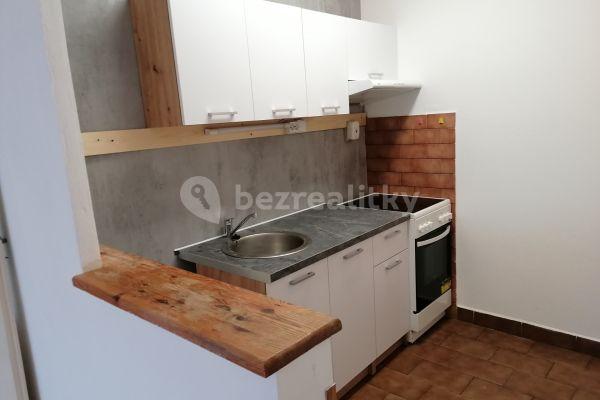 1 bedroom with open-plan kitchen flat to rent, 43 m², Trnková, Hlavní město Praha