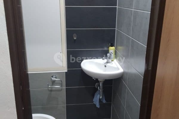 1 bedroom with open-plan kitchen flat to rent, 53 m², Tuřanka, Brno