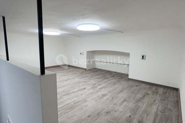 1 bedroom with open-plan kitchen flat to rent, 48 m², Seifertova, Praha