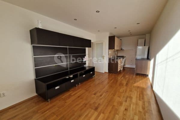 1 bedroom with open-plan kitchen flat to rent, 44 m², Golfová, Praha