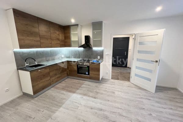 1 bedroom with open-plan kitchen flat to rent, 54 m², U Městských domů, Ústí nad Labem