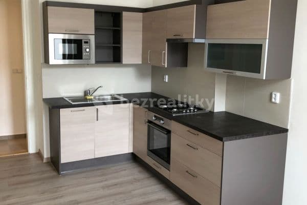 1 bedroom with open-plan kitchen flat to rent, 44 m², Československé armády, Hlavní město Praha