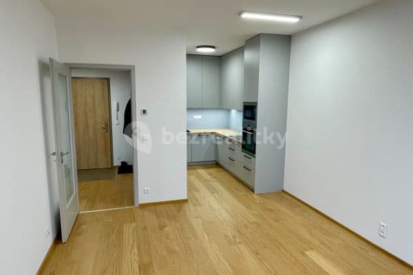 1 bedroom with open-plan kitchen flat to rent, 50 m², Hasilova, Praha