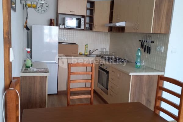 1 bedroom with open-plan kitchen flat to rent, 42 m², Anglická, Kladno