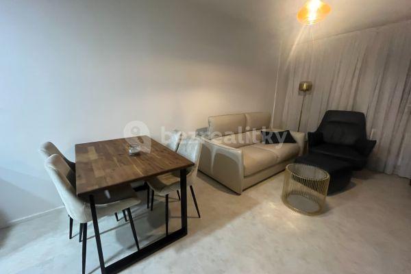 1 bedroom with open-plan kitchen flat to rent, 42 m², Kupeckého, Praha