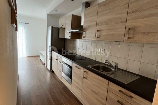 1 bedroom with open-plan kitchen flat to rent, 50 m², U Velkého rybníka, Plzeň