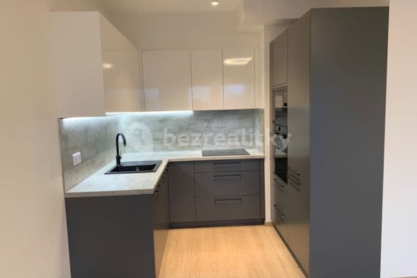 1 bedroom with open-plan kitchen flat to rent, 47 m², Drahňovická, Praha