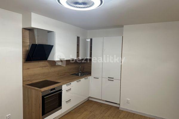 1 bedroom with open-plan kitchen flat to rent, 52 m², Michelská, Hlavní město Praha