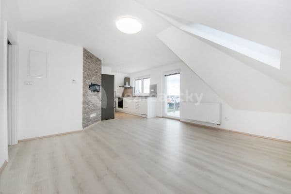 1 bedroom with open-plan kitchen flat for sale, 67 m², Plzeňská, 