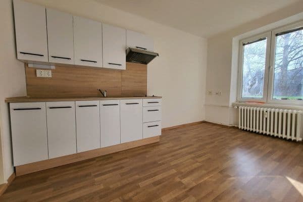 Studio flat to rent, 18 m², Mánesova, Studio flat to rent, 18 m², Mánesova,