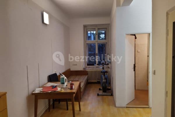 1 bedroom with open-plan kitchen flat to rent, 45 m², Haškova, Praha